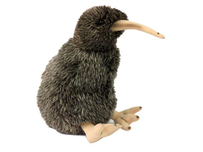 Spotted Kiwi Sound XL