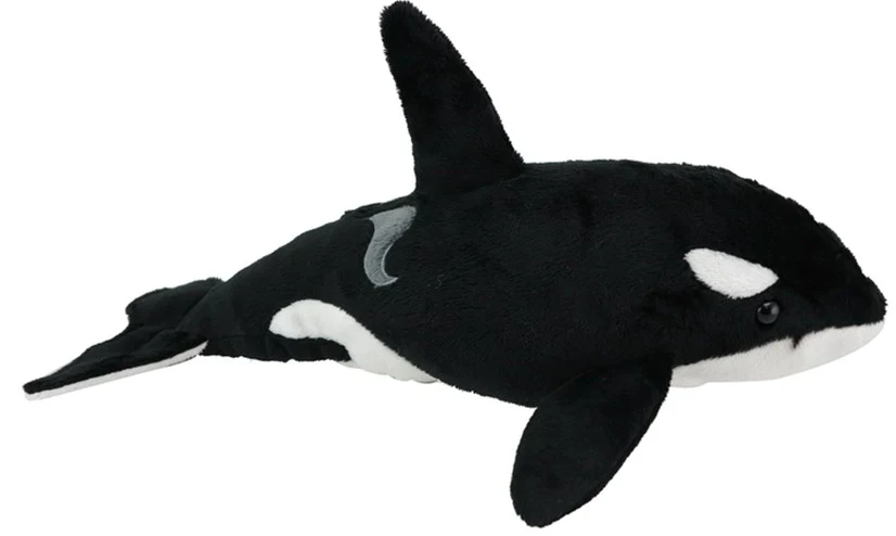 Orca Sound