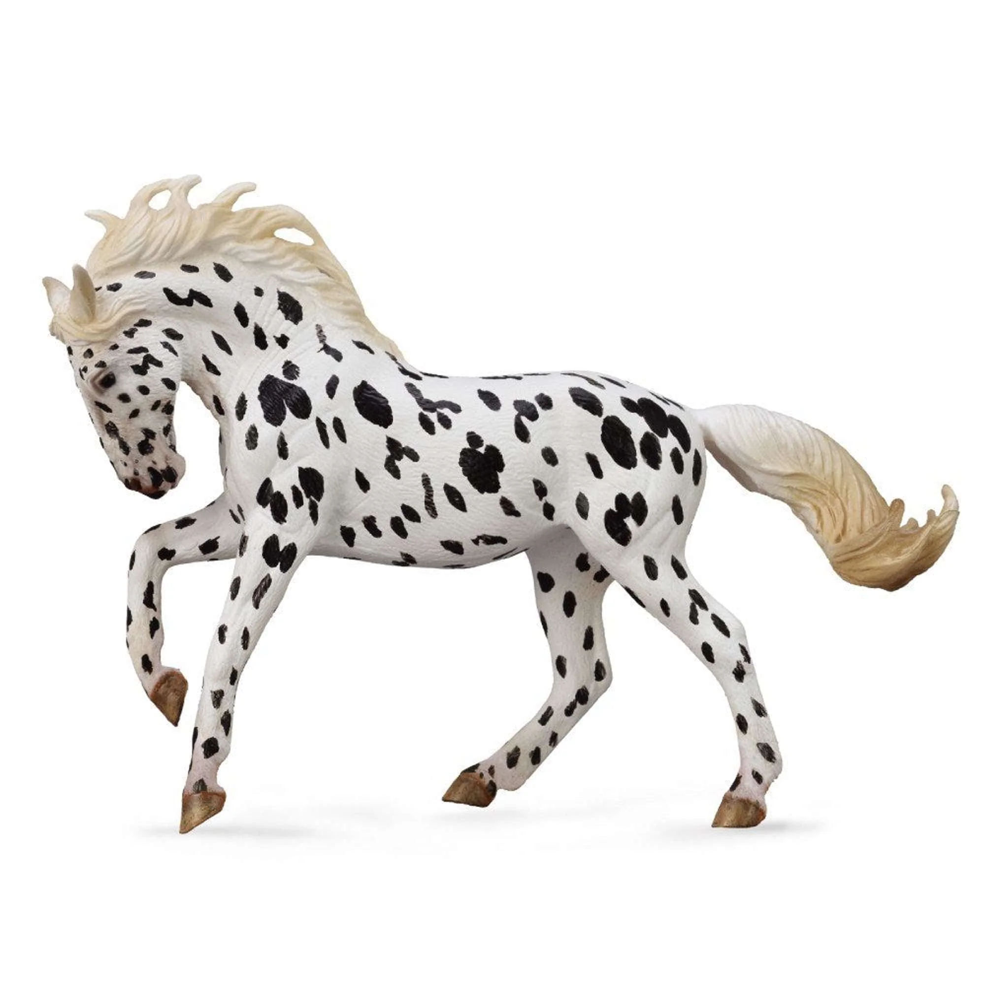 CO Knabstrupper Mare (XL)