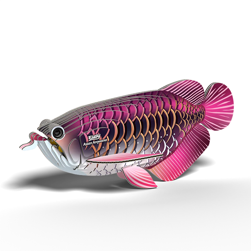 Eugy Asian Arowana - Image 2