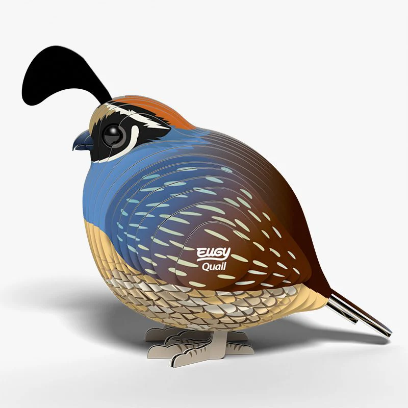 Eugy Quail - Image 2
