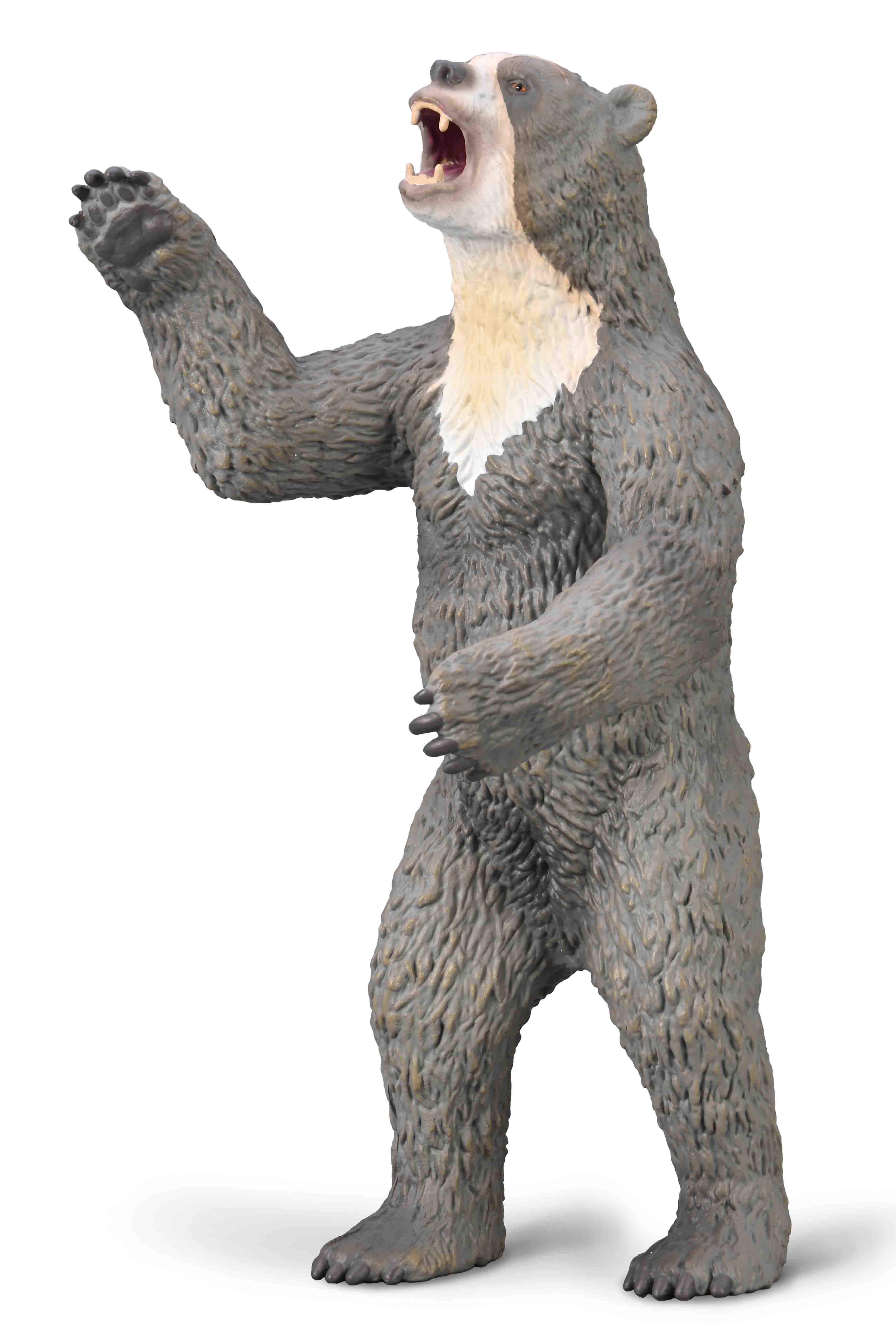 CO Giant Short Faced Bear