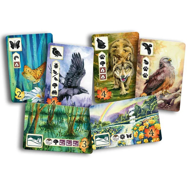 Meadow - Image 4