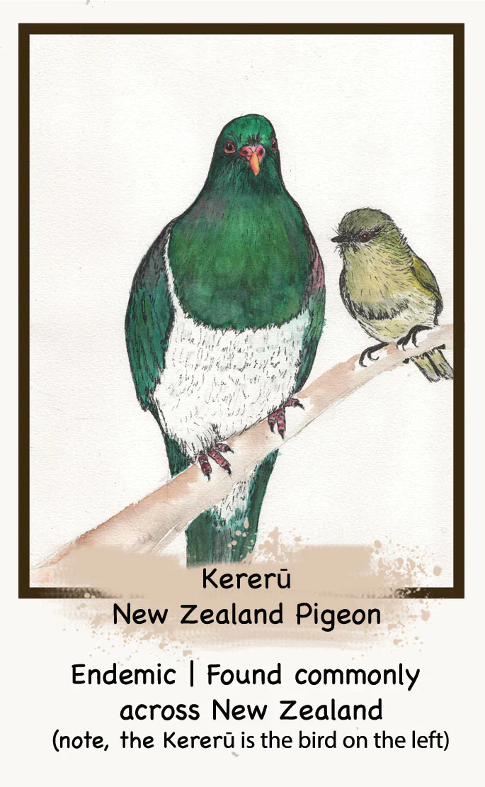 Getting Lost NZ Bird Edition - Image 5