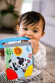 Baby Einstein Basic Teether Book - Image 2