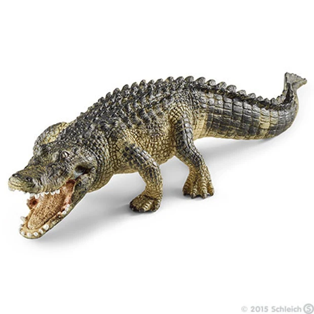 SC Alligator (Grey Dot)