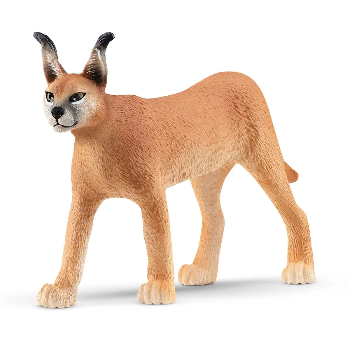 SC Caracal Female (Red Dot)