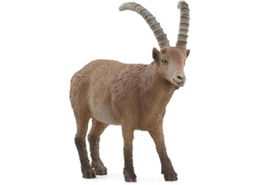 SC Ibex (Yellow Dot)
