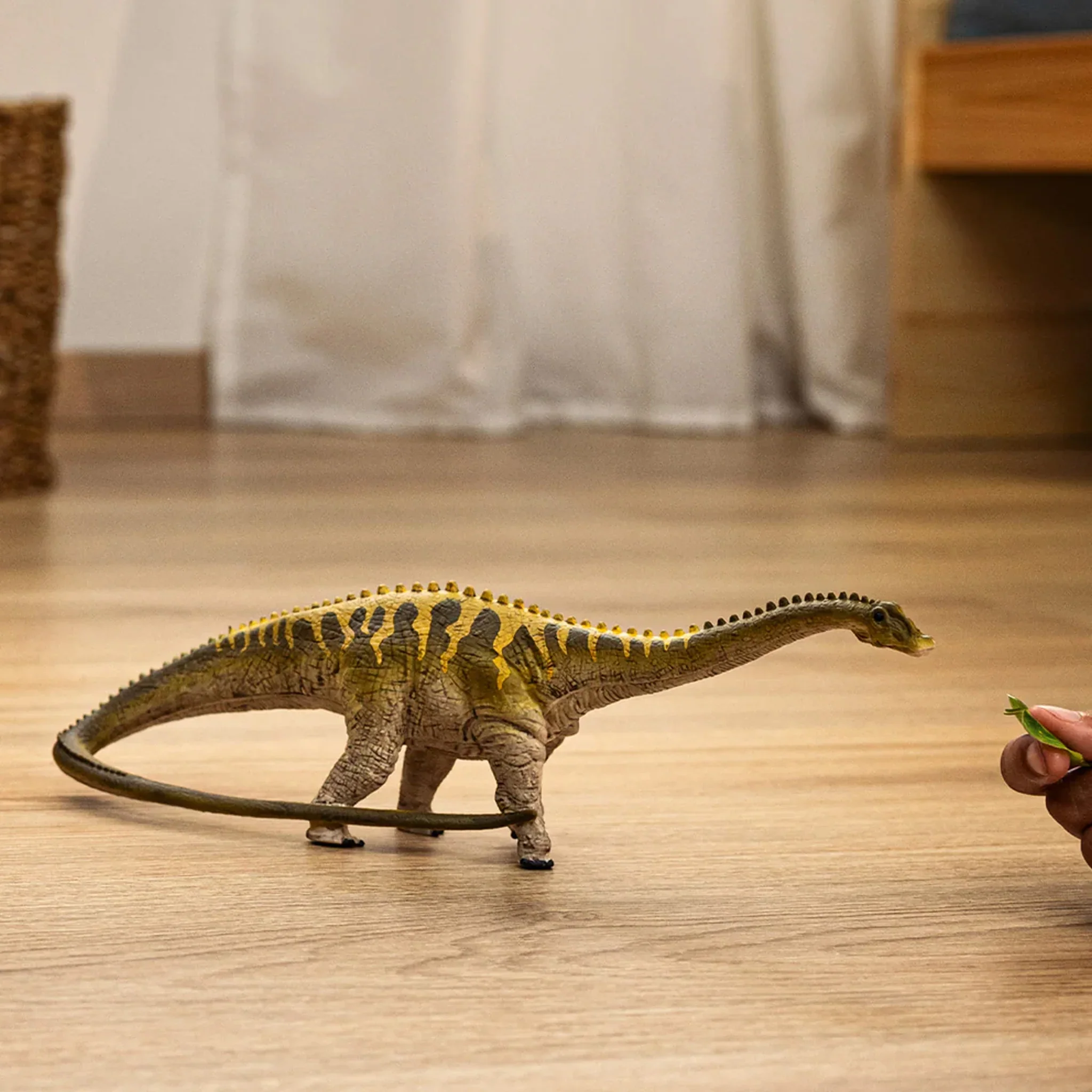 SC Diplodocus - Image 2